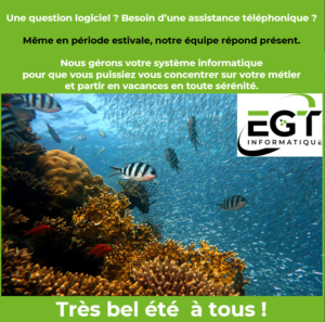 Période estivale – EGT Informatique répond présent !